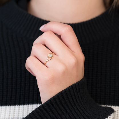 Anillo Robinet