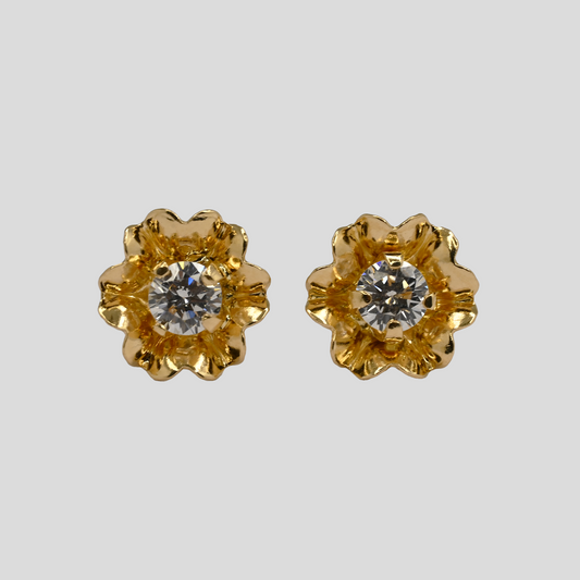 Aros Clavelina
