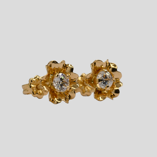 Aros Clavelina