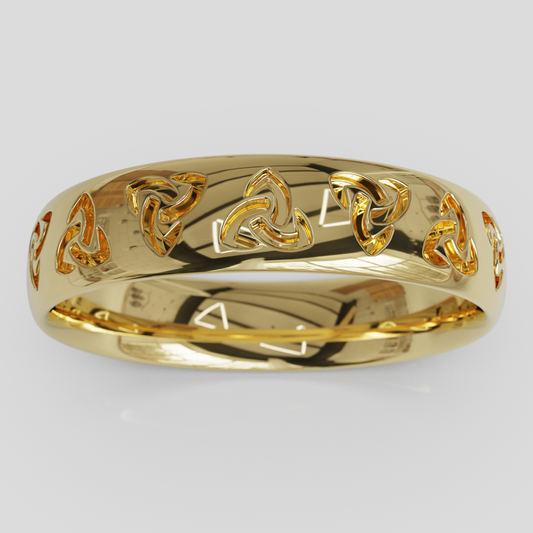 Anillo Triquel