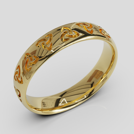 Anillo Triquel
