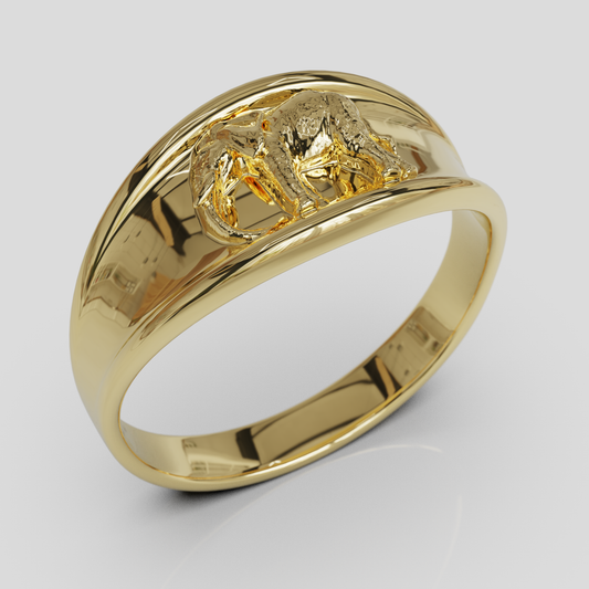 Anillo Elefante