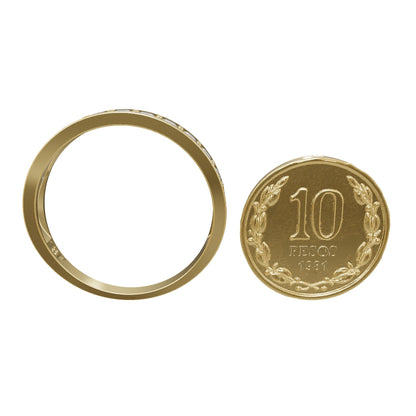 Anillo de Compromiso Cintillo Canal